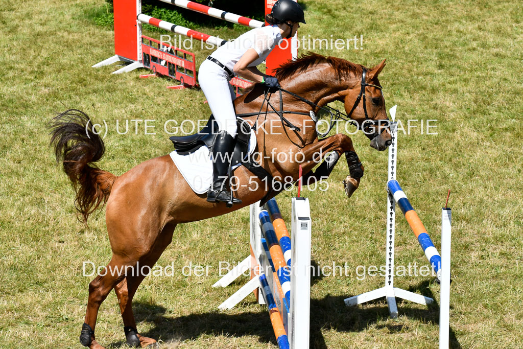 Reitturnier Harburger RV  16.7.2021 | 17072021 Springen L 2 Phasen 1 _094 