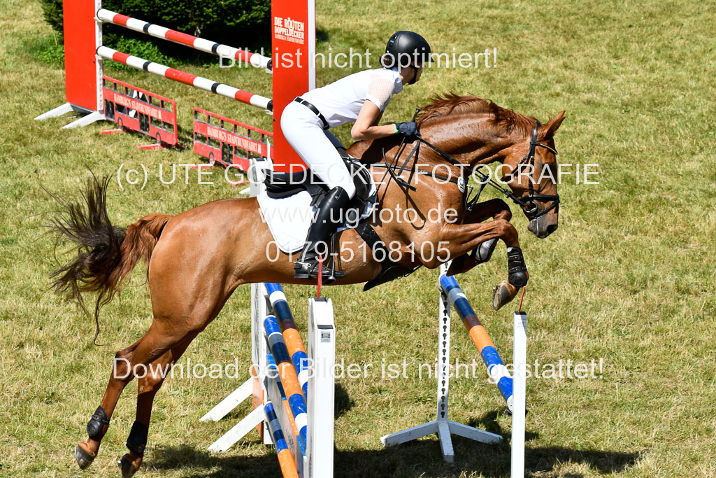 Reitturnier Harburger RV  16.7.2021 | 17072021 Springen L 2 Phasen 1 _095 