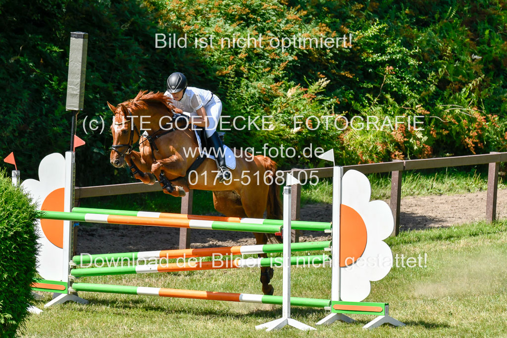 Reitturnier Harburger RV  16.7.2021 | 17072021 Springen L 2 Phasen 1 _099 