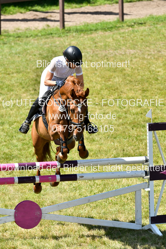 Reitturnier Harburger RV  16.7.2021 | 17072021 Springen L 2 Phasen 1 _102 