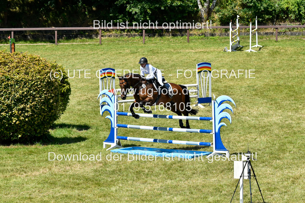 Reitturnier Harburger RV  16.7.2021 | 17072021 Springen L 2 Phasen 1 _106 
