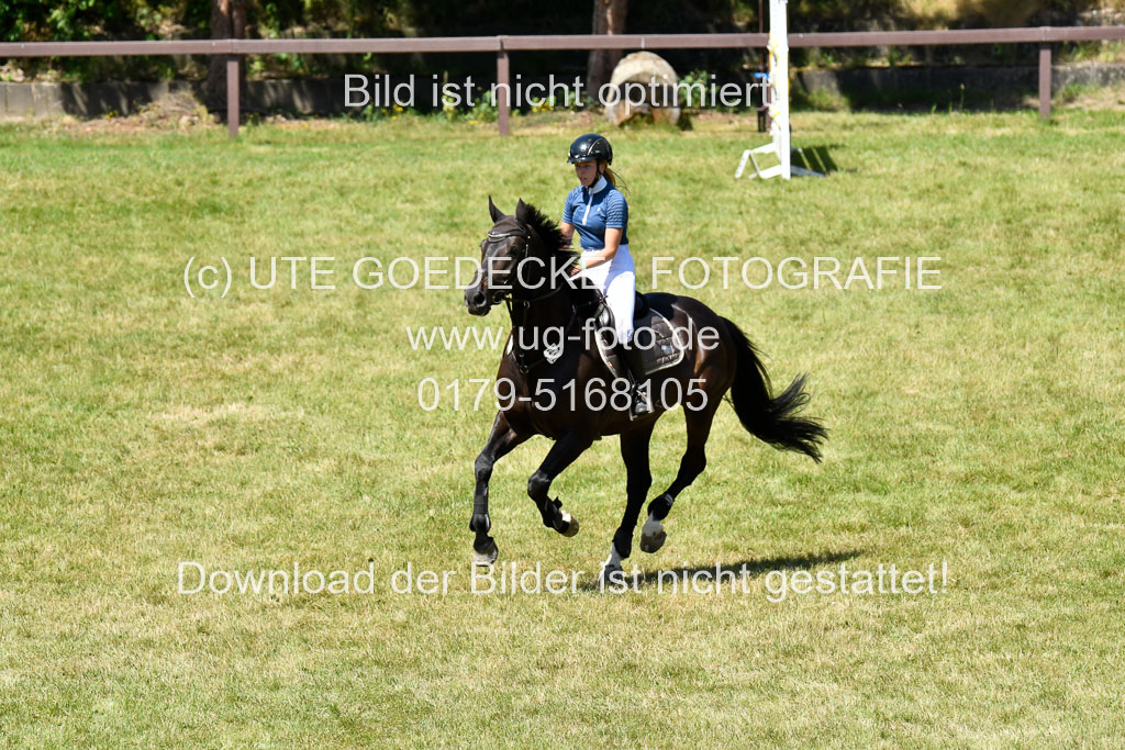 Reitturnier Harburger RV  16.7.2021 | 17072021 Springen L 2 Phasen 1 _179 