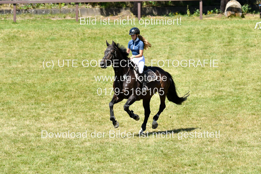 Reitturnier Harburger RV  16.7.2021 | 17072021 Springen L 2 Phasen 1 _181 