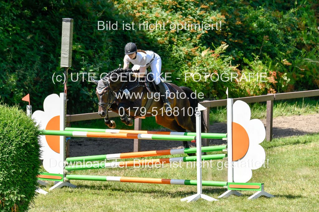 Reitturnier Harburger RV  16.7.2021 | 17072021 Springen L 2 Phasen 1 _196 