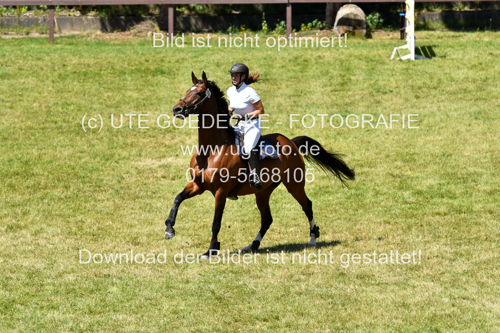 Reitturnier Harburger RV  16.7.2021 | 17072021 Springen L 2 Phasen 1 _207 