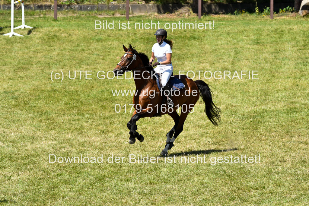 Reitturnier Harburger RV  16.7.2021 | 17072021 Springen L 2 Phasen 1 _208 