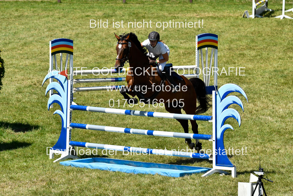 Reitturnier Harburger RV  16.7.2021 | 17072021 Springen L 2 Phasen 1 _209 