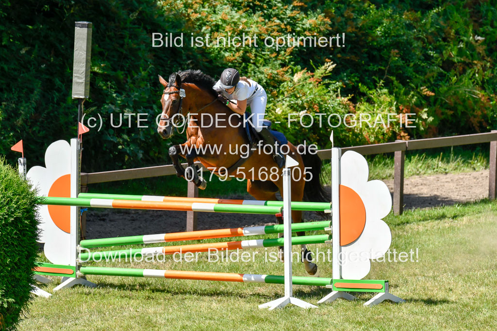 Reitturnier Harburger RV  16.7.2021 | 17072021 Springen L 2 Phasen 1 _217 