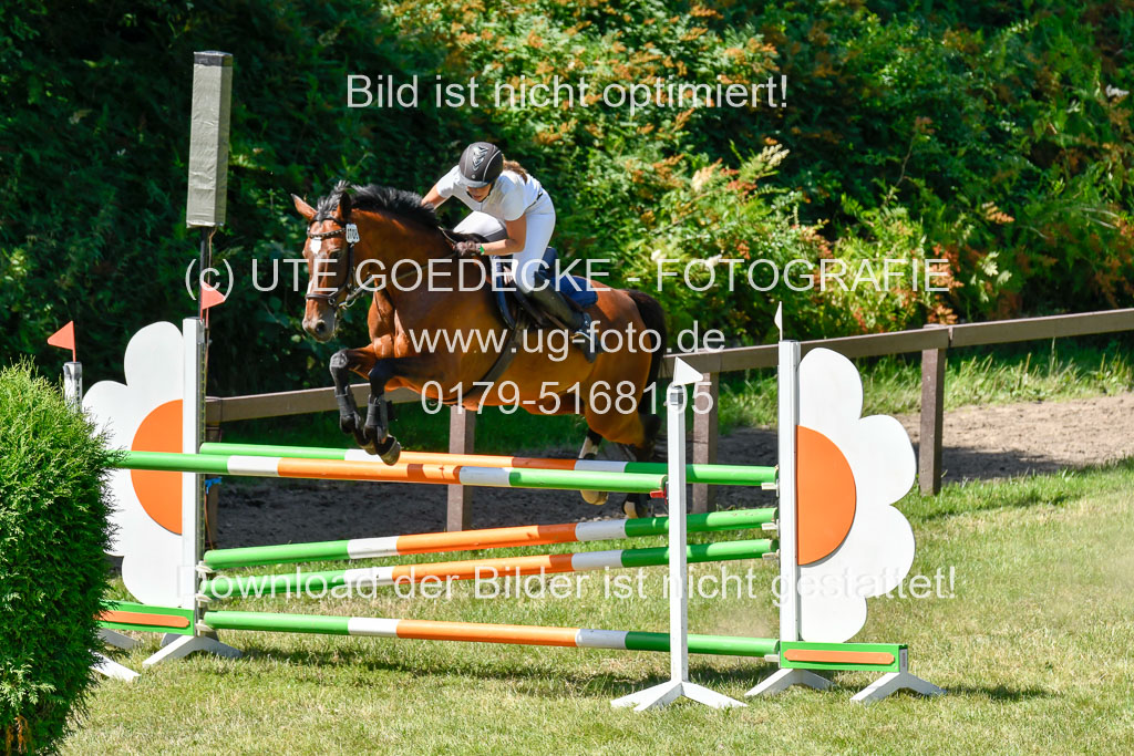 Reitturnier Harburger RV  16.7.2021 | 17072021 Springen L 2 Phasen 1 _218 