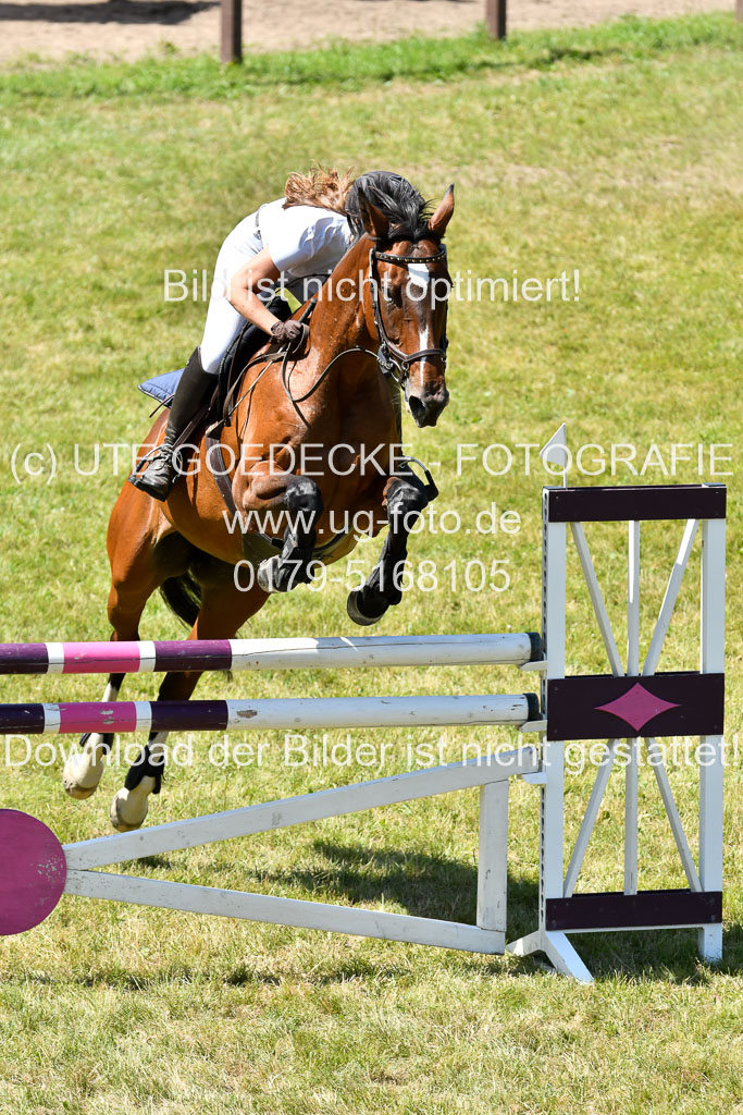 Reitturnier Harburger RV  16.7.2021 | 17072021 Springen L 2 Phasen 1 _222 