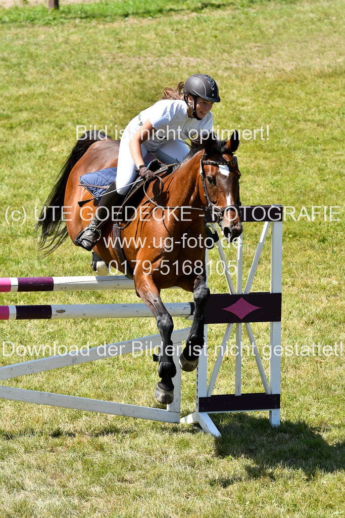 Reitturnier Harburger RV  16.7.2021 | 17072021 Springen L 2 Phasen 1 _224 