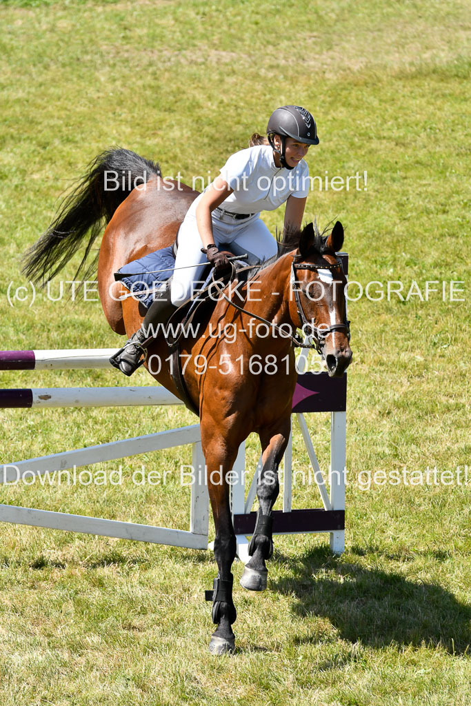 Reitturnier Harburger RV  16.7.2021 | 17072021 Springen L 2 Phasen 1 _225 