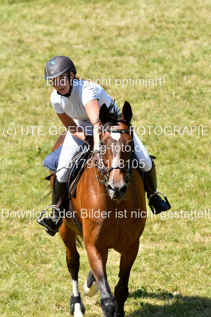 Reitturnier Harburger RV  16.7.2021 | 17072021 Springen L 2 Phasen 1 _229 