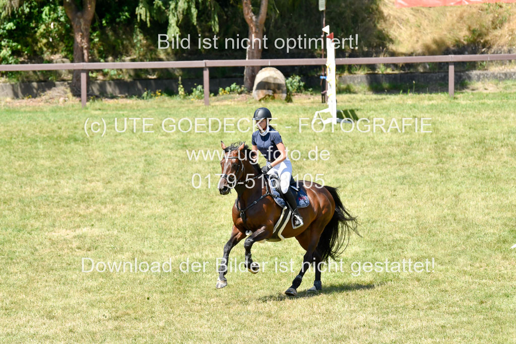 Reitturnier Harburger RV  16.7.2021 | 17072021 Springen L 2 Phasen 1 _235 