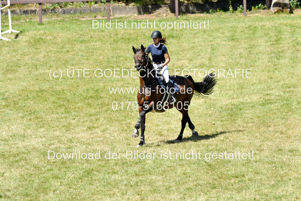 Reitturnier Harburger RV  16.7.2021 | 17072021 Springen L 2 Phasen 1 _237 