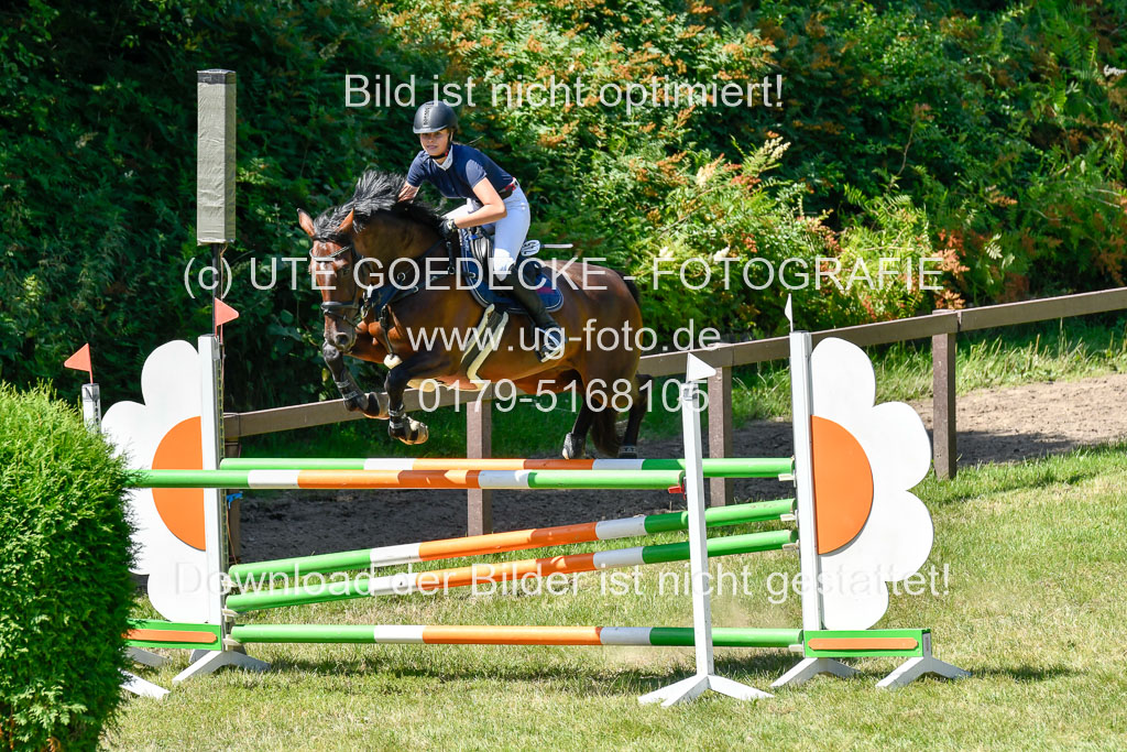 Reitturnier Harburger RV  16.7.2021 | 17072021 Springen L 2 Phasen 1 _250 