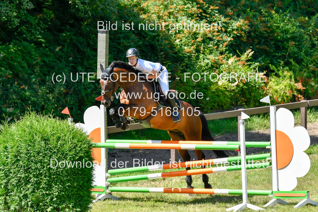 Reitturnier Harburger RV  16.7.2021 | 17072021 Springen L 2 Phasen 1 _281 
