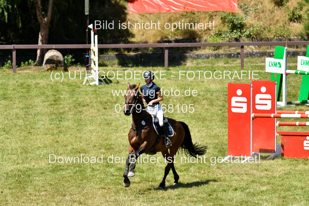 Reitturnier Harburger RV  16.7.2021 | 17072021 Springen L 2 Phasen 1 _291 