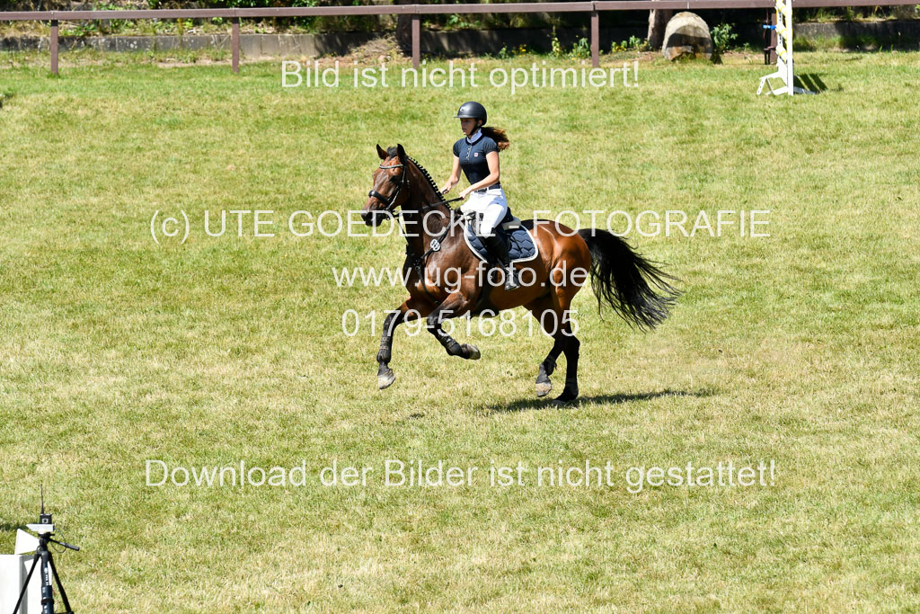 Reitturnier Harburger RV  16.7.2021 | 17072021 Springen L 2 Phasen 1 _293 