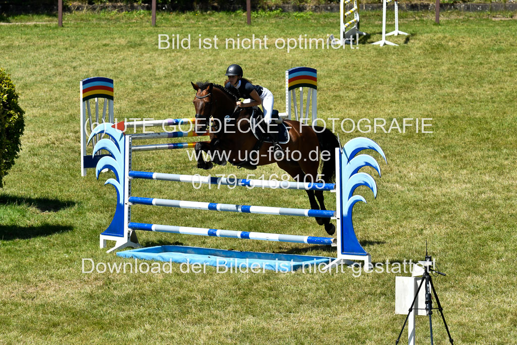 Reitturnier Harburger RV  16.7.2021 | 17072021 Springen L 2 Phasen 1 _295 