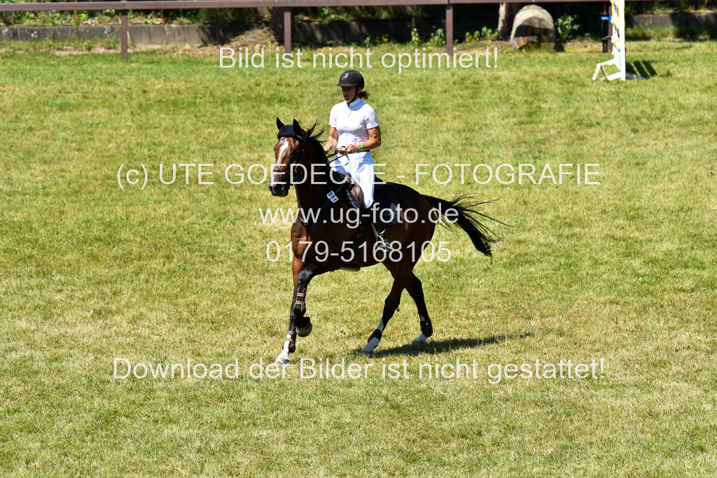 Reitturnier Harburger RV  16.7.2021 | 17072021 Springen L 2 Phasen 1 _302 
