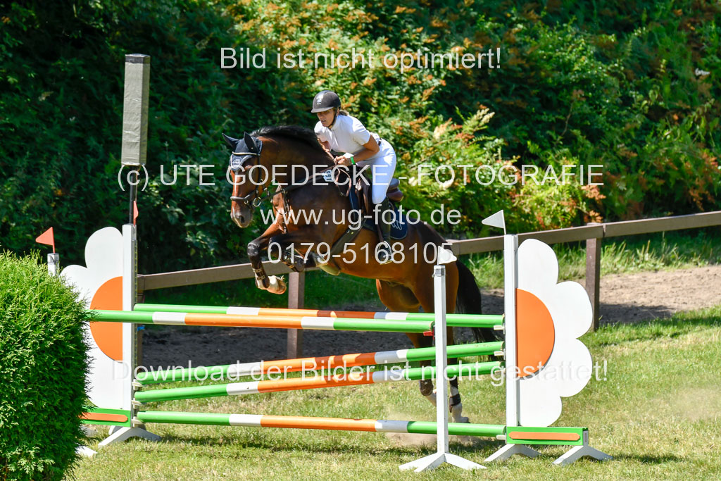 Reitturnier Harburger RV  16.7.2021 | 17072021 Springen L 2 Phasen 1 _310 