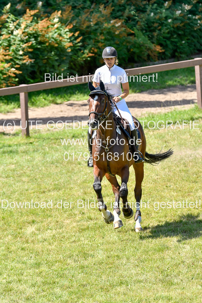 Reitturnier Harburger RV  16.7.2021 | 17072021 Springen L 2 Phasen 1 _312 