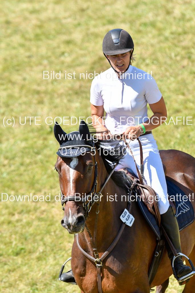 Reitturnier Harburger RV  16.7.2021 | 17072021 Springen L 2 Phasen 1 _314 