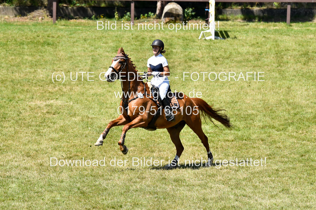 Reitturnier Harburger RV  16.7.2021 | 17072021 Springen L 2 Phasen 1 _319 