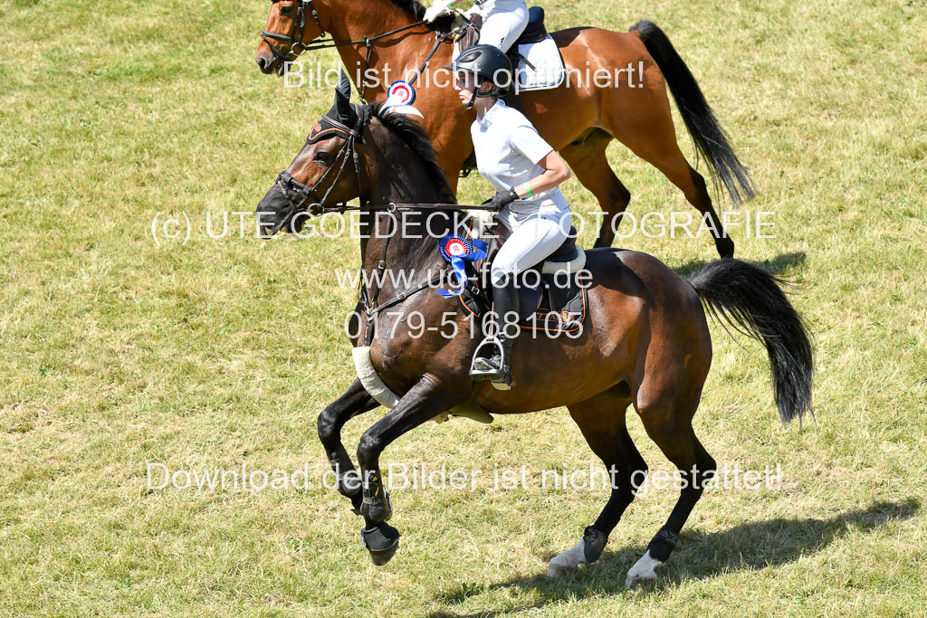 Reitturnier Harburger RV  16.7.2021 | 17072021 Springen L 2 Phasen 1 _333 