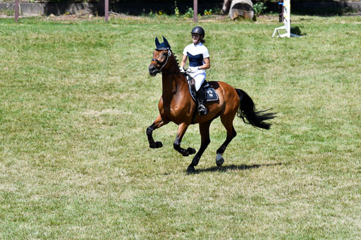 Reitturnier Harburger RV  16.7.2021 | 17072021 Springen L 2 Phasen 1 _010 