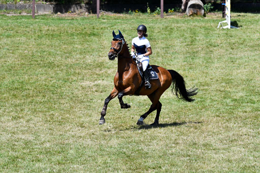 Reitturnier Harburger RV  16.7.2021 | 17072021 Springen L 2 Phasen 1 _011 