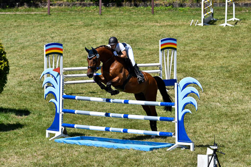 Reitturnier Harburger RV  16.7.2021 | 17072021 Springen L 2 Phasen 1 _012 