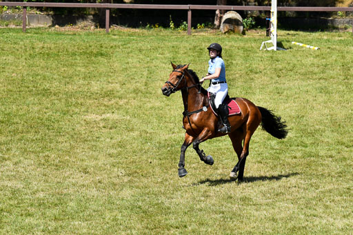 Reitturnier Harburger RV  16.7.2021 | 17072021 Springen L 2 Phasen 1 _030 