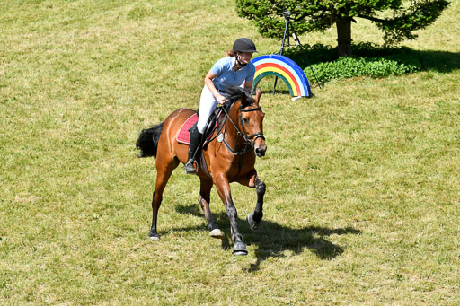 Reitturnier Harburger RV  16.7.2021 | 17072021 Springen L 2 Phasen 1 _035 