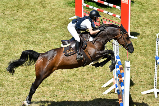 Reitturnier Harburger RV  16.7.2021 | 17072021 Springen L 2 Phasen 1 _048 