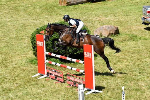 Reitturnier Harburger RV  16.7.2021 | 17072021 Springen L 2 Phasen 1 _050 
