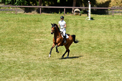 Reitturnier Harburger RV  16.7.2021 | 17072021 Springen L 2 Phasen 1 _059 