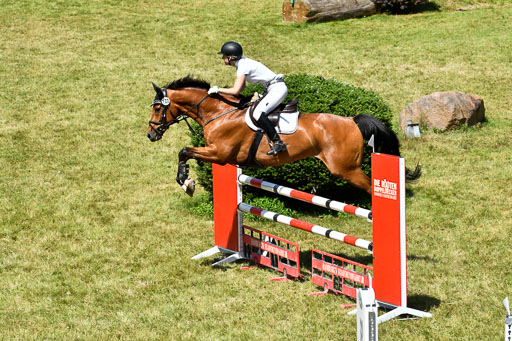 Reitturnier Harburger RV  16.7.2021 | 17072021 Springen L 2 Phasen 1 _067 