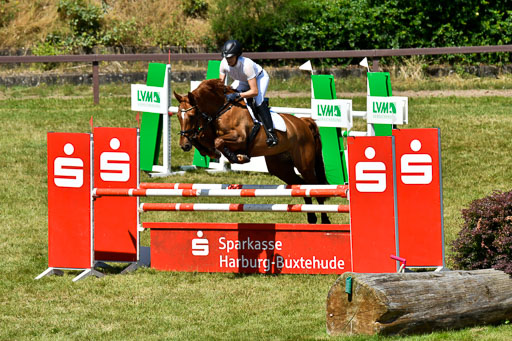 Reitturnier Harburger RV  16.7.2021 | 17072021 Springen L 2 Phasen 1 _088 