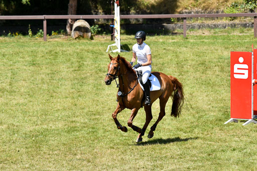 Reitturnier Harburger RV  16.7.2021 | 17072021 Springen L 2 Phasen 1 _089 