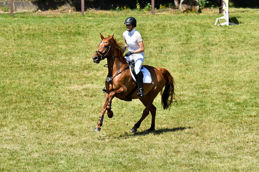 Reitturnier Harburger RV  16.7.2021 | 17072021 Springen L 2 Phasen 1 _090 