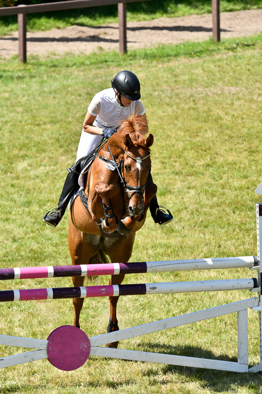 Reitturnier Harburger RV  16.7.2021 | 17072021 Springen L 2 Phasen 1 _101 