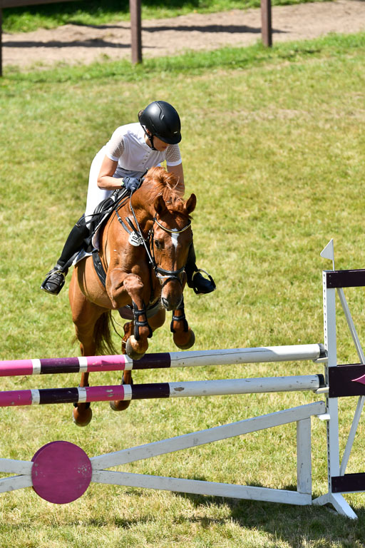 Reitturnier Harburger RV  16.7.2021 | 17072021 Springen L 2 Phasen 1 _102 