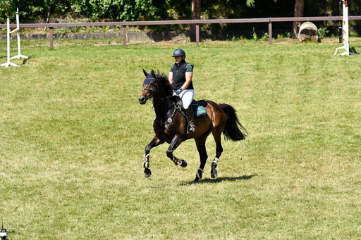 Reitturnier Harburger RV  16.7.2021 | 17072021 Springen L 2 Phasen 1 _115 