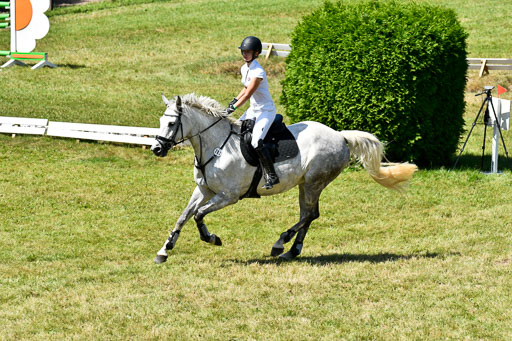 Reitturnier Harburger RV  16.7.2021 | 17072021 Springen L 2 Phasen 1 _126 