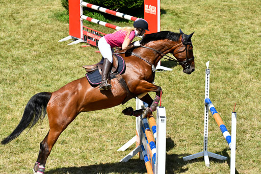 Reitturnier Harburger RV  16.7.2021 | 17072021 Springen L 2 Phasen 1 _133 