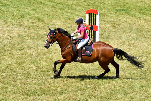 Reitturnier Harburger RV  16.7.2021 | 17072021 Springen L 2 Phasen 1 _136 