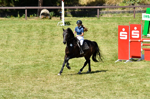 Reitturnier Harburger RV  16.7.2021 | 17072021 Springen L 2 Phasen 1 _178 