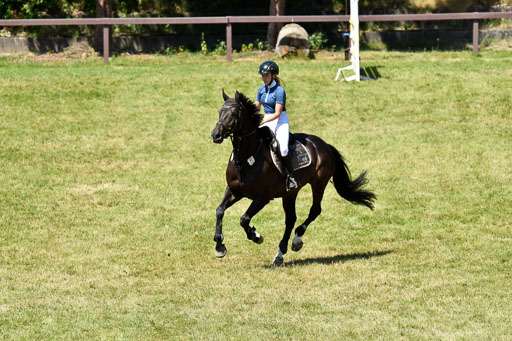 Reitturnier Harburger RV  16.7.2021 | 17072021 Springen L 2 Phasen 1 _179 